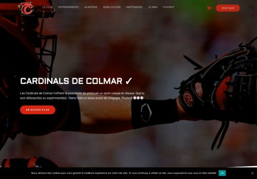 Colmar Baseball