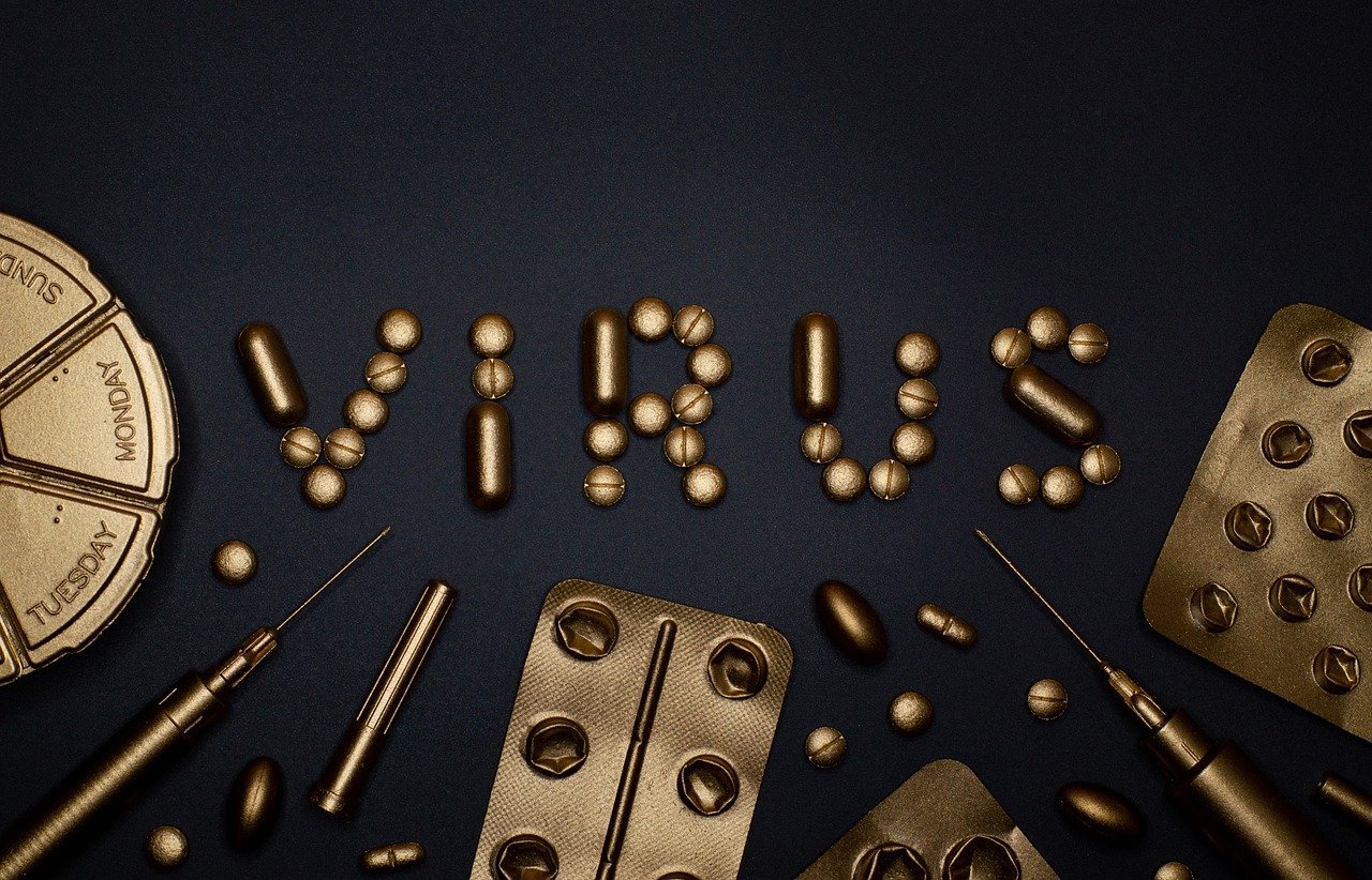 VIRUS VACCIN HACKING