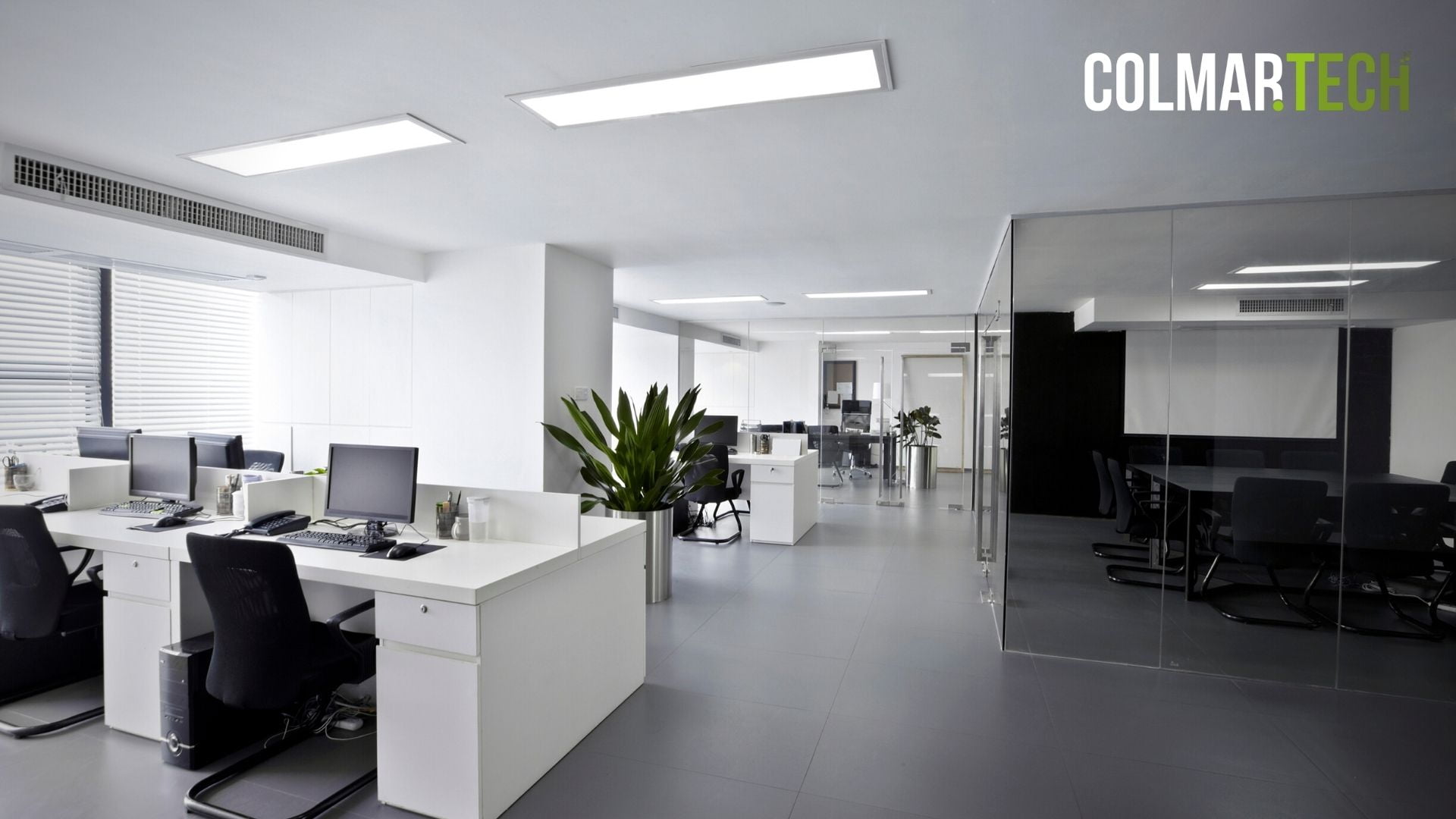 creation entreprise colmar