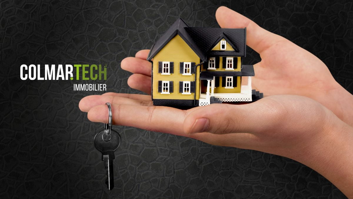immobilier colmar business