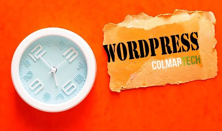 theme wordpress