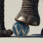 Wordpress cache site web internet