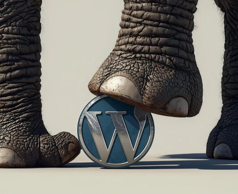 Wordpress cache site web internet