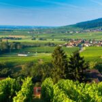 Tourisme durable : comment voyager autrement en Alsace