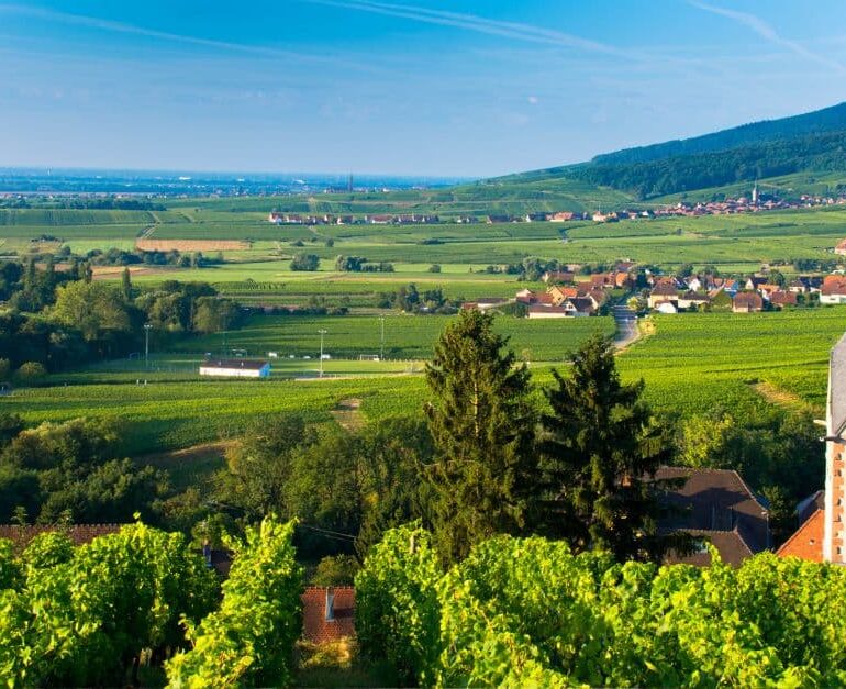 Tourisme durable : comment voyager autrement en Alsace
